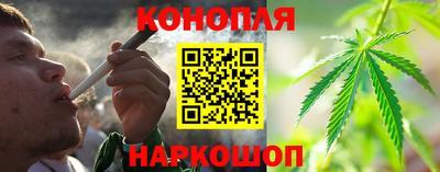 дживик Славгород