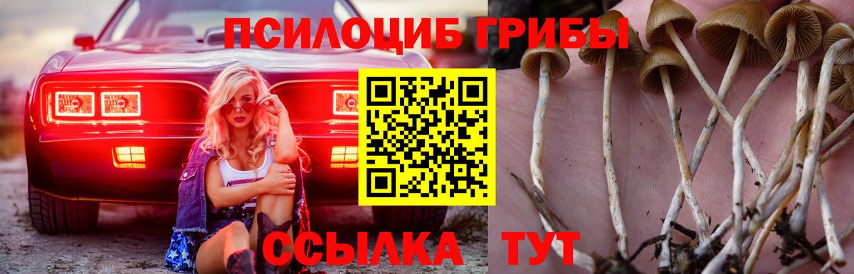 купить наркоту  Вход с VPN  Нурлат  Псилоцибиновые грибы ЛСД 
